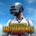 pubg������������ֱװ(PUBG MOBILE)v2.9.0 ��׿��