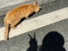 ���Լ�ϲ���ķ�ʽ��һ����˵˵ ���Լ�ϲ���ķ�ʽ����˵˵