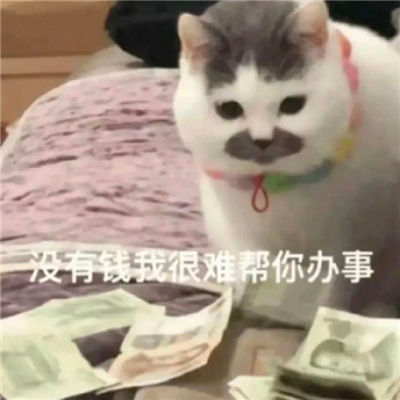 ����������������ֵı��� û��Ǯ�Һ��Ѱ������
