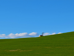 �͸���������ϧ�ҵ��˵�˵˵ ������ϧ����ӵ�о���