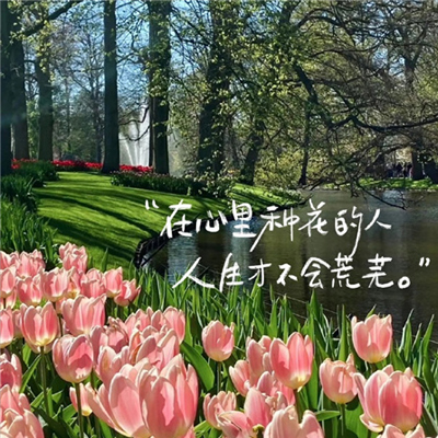 ��������д���ֱ���ͼ���Ը��� �������ֻ������Ų������