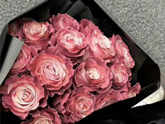 �ܾ������ںĵ�ǩ�� �ܾ�������ǩ�����
