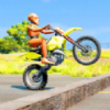 Ħгײ(Moto Bike Dummy Crash Test Sim)v2 ׿