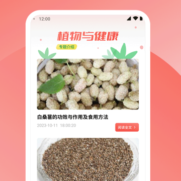 草莓乐刷 草莓乐刷