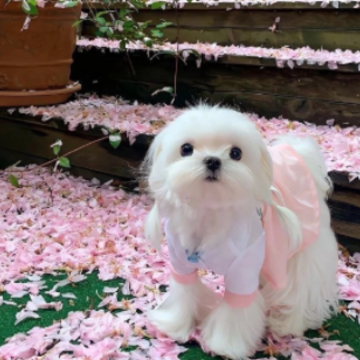 һЩ�����Լ��ںú�������İ� ����������Ҹ��̾�