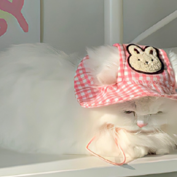 Ī���Լ�Ī��ʱ���˵˵ ʱ�ⲻ��Ŭ�����²����Լ����İ�