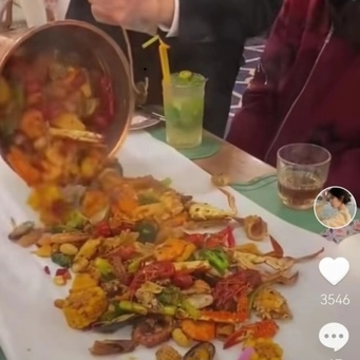 小茶喵 小茶喵