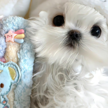 ������ĺ��е�����ǩ�� ÿһ�䶼��ζ�����ǩ��