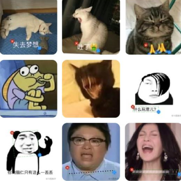 ��ͼ����APP