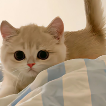 һ���ͺ������������ϲ�� �����־��µ��ǳ�