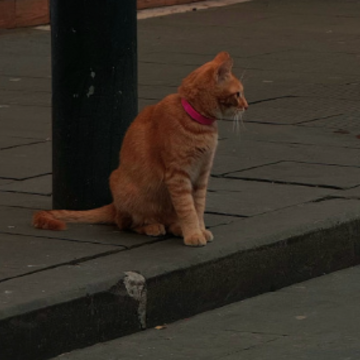 �ر��������Խ��Խ�����İ� ��������˵˵
