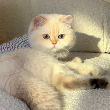 �ճ�������ѧ����id û����벻����������