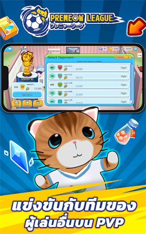 猫咪英超足球 猫咪英超足球