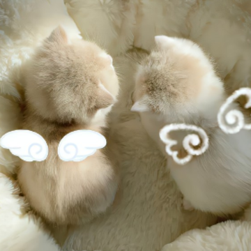 һ�ۿ��о��ио���ǩ�� �����ĵ�����ǩ��