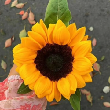 �����Ҹ�������Ȧ�İ��̾� ����ɹ�Ҹ�������Ȧ�İ�