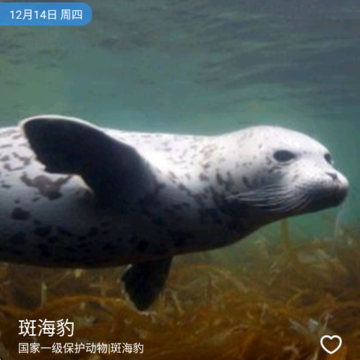 奇妙海洋 奇妙海洋