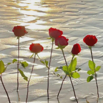 ����һ�а��Լ������� �������Լ���΢���ǳ�