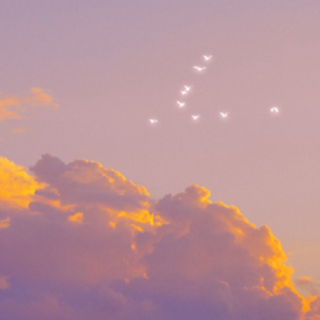 Ů��Ƥ��Ƿ��ĸ�Ц�İ� �ʺ�Ů���ӵİ�����ѧ��¼