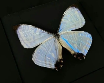���Ű������������������� �ܰ��Һܺ������ǳ�