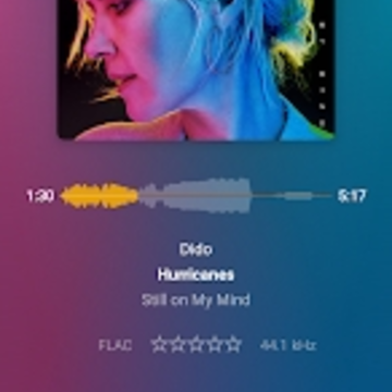Plexamp4.9.1��׿��װ��
