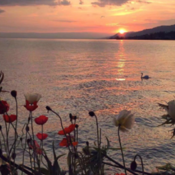 ��ȥ�����������İ� �����붬�콻����İ�