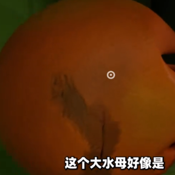班班幼儿园6中文版 班班幼儿园6中文版