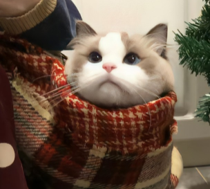 ����ǩ��������Խ��Խ�� ��̳���ϵ�е�ǩ��