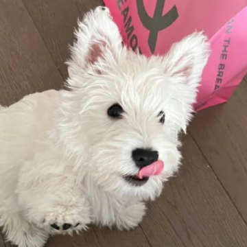 ��һ�������˵�˵˵ �������������̾�