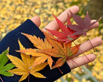 ���Լ����������Խ��Խ�ٵ�˵˵ ���ں��Ķ���Խ��Խ��Ķ̾�