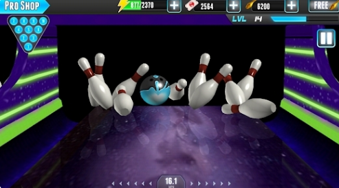 PBA���������2024(PBA Bowling)