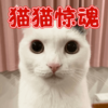 ���ﾪ��v1.0 �ٷ���