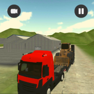 ģ(Truck Cargo Simulator)v1 °