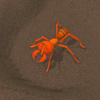 ���Ͻ���(Ants Game)v0.1.0 ��׿��