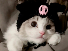 ���Ҹ��������ܺ��� �����Ҹ��е�������ȫ
