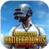 PUBG MOBILE Shadow Force���ʷ�v3.1.0 ��׿��