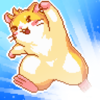 Super Hamster Ballv1.1.13 ��׿��