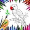 ��ɫ�滭��Ϳ(Colour paint and drawing games)v1.02 ��׿��