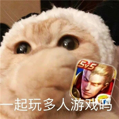 �������õ��ı�������ͨ�� һ���������Ϸ��