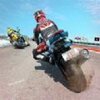 ��ͷĦ�г���Fire Bike Racing motoGpv1.1 ��׿��