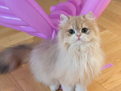���˸о��й��µ�ǩ�� ϸƷ�����ں���ǩ��