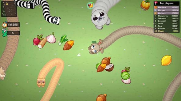 ����ũ��(Snake Doodle)v1.0.13 ��׿��