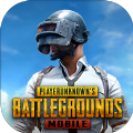 pubg���ʷ�(PUBG MOBILE)v2.9.0 ����