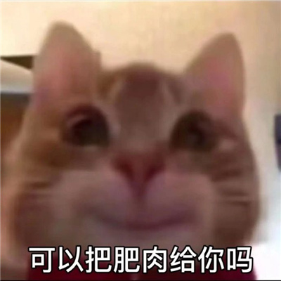 ��������ºܳ���ϵ�� �������ı�������