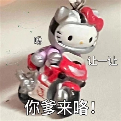 ����ר�ó�������˼�ı���� �ܸ������������������ֵı���