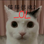 猫猫惊魂2OLv1.0 最新版