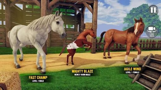 ҵ(My Stable Horse Racing Games)v1.0.4 ׿