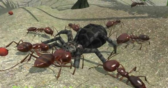 3dģ(Ant Simulation 3D)v3.3.4 ׿