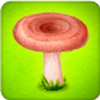ɭ�ֲ���Ģ��ũ��(Forest Clans)v4.8.0 ��׿��