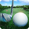 �߶����ʦ3D���İ棨Golf Master��v1.13.0 ��׿��