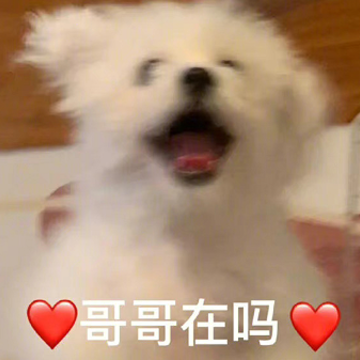 ����ܻ������ô������ϵ���İ� �ܻ��Ҳ������̸�����ĸ�Ц��¼